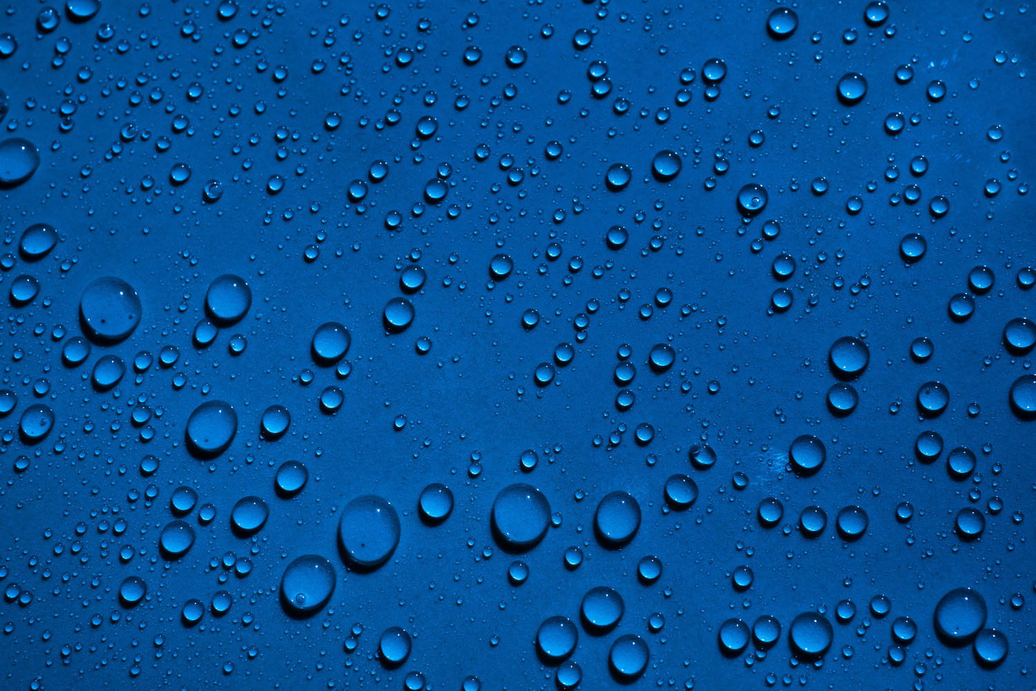 AdobeStock_294544319-1